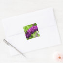 Search for bush stickers Purple