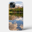 Search for bear cases Usa