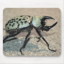 Search for beetles mousepads Bug