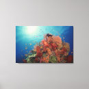 Search for reef art Animals