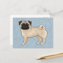 Search for cute fawn postcards Pug
