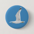 Search for gull badges Wildlife