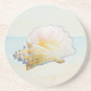 Search for conch coasters Shells