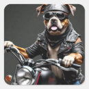 Search for boxer stickers Fun