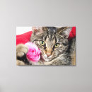 Search for tabby cat canvas prints Kitty