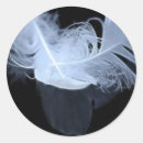 Search for black feather stickers Black and white