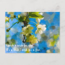 Search for artsy postcards Tree