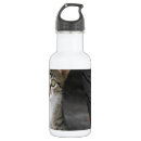 Search for lonely drinkware Cat
