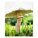 Search for shroom art Nature