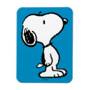 Search for brown pattern magnets Snoopy