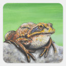 Search for frog painting stickers Wildlife