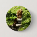 Search for brown bear badges Wildlife