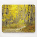 Search for winds mousepads Autumn