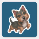 Search for cairn stickers Cute