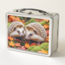 Search for hedgehog lunch boxes Wildlife