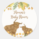Search for highlanders stickers For kids