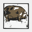 Search for swine magnets Farm