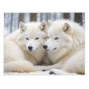 Search for affection notepads Animal