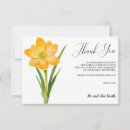 Search for crocus flower Floral