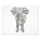 Search for 10x8 posters Wildlife