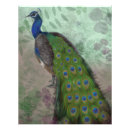 Search for blue peacock bird posters Wildlife