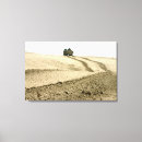 Search for assault canvas prints Aav