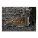 Search for cervus Animal