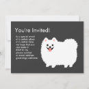 Search for fluffy white Pomeranian