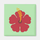 Search for hibiscus magnets Summer