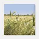 Search for grains magnets Bread