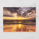 Search for wave surfer postcards Sunrise