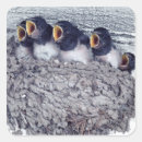 Search for barn swallow stickers Animal