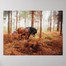 Search for draught posters Heavy horse