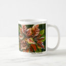 Search for poinsettia mugs Nature