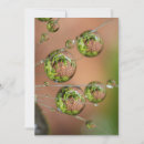 Search for droplets cards Flower