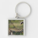 Search for african animal key rings Animals in the wild