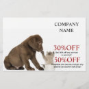 Search for animal 5x8 flyers Veterinarian
