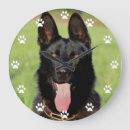 Search for gsd Canine
