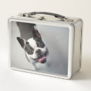 Search for bulldog lunch boxes Animals