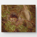 Search for 1877 Birds