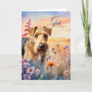 Search for airedale terrier dog cards Dogs