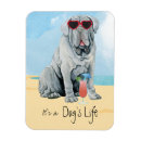 Search for neapolitan magnets Italian mastiff