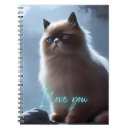 Search for himalayan cat Animal