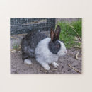 Search for bunny rabbit puzzles Animals