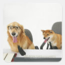 Search for dog with glasses stickers Humour
