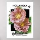 Search for hollyhocks posters Illustration