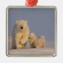 Search for mama bear christmas tree decorations Baby