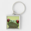 Search for tree frogs key rings Full length