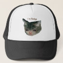 Search for meme accessories Cat