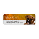 Search for boxer return address labels Puppy
